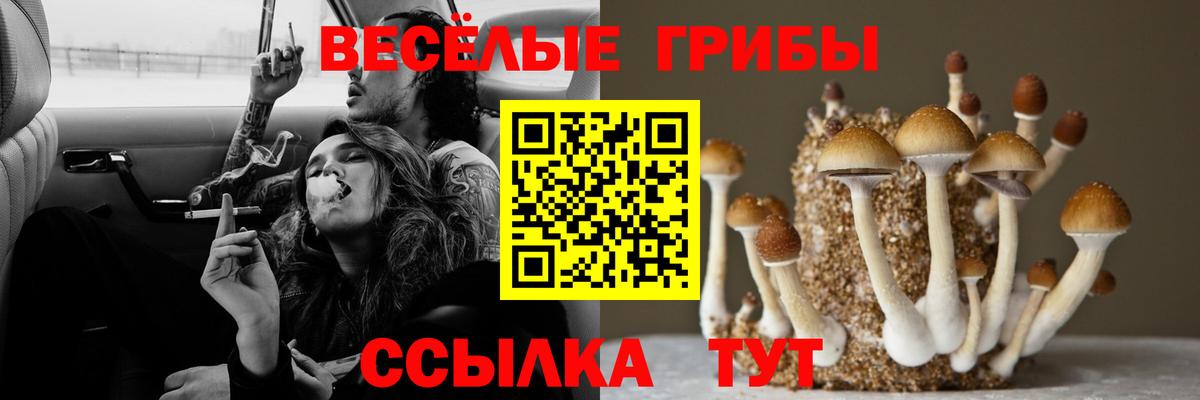 Меф Орск